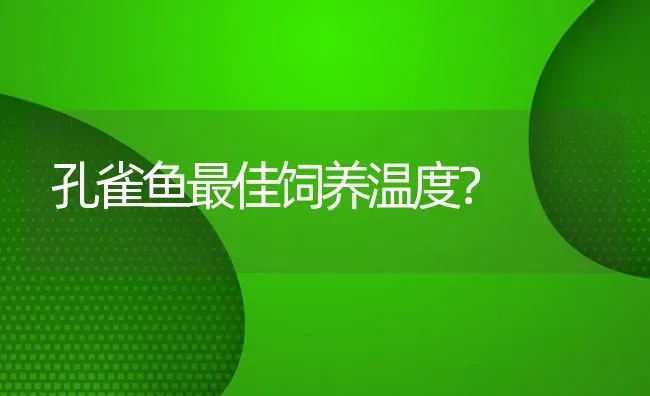 孔雀鱼最佳饲养温度？ | 鱼类宠物饲养