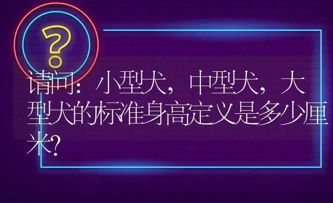 请问:小型犬,中型犬,大型犬的标准身高定义是多少厘米？ | 动物养殖问答