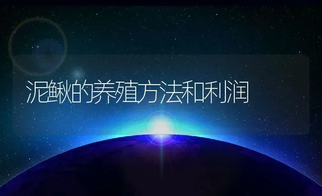 泥鳅的养殖方法和利润 | 动物养殖百科