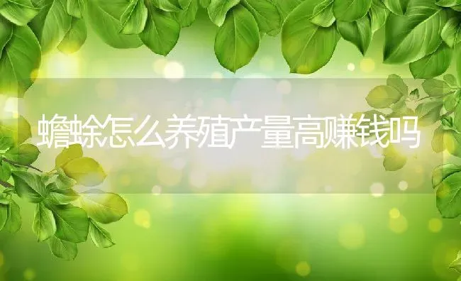 蟾蜍怎么养殖产量高赚钱吗 | 动物养殖百科