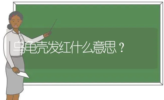 乌龟壳发红什么意思？ | 动物养殖问答