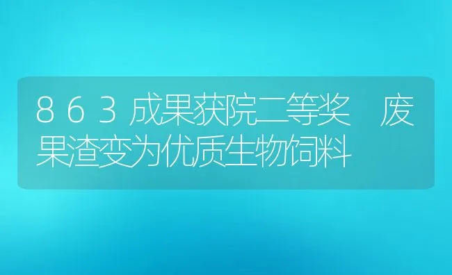 863成果获院二等奖 废果渣变为优质生物饲料 | 动物养殖饲料