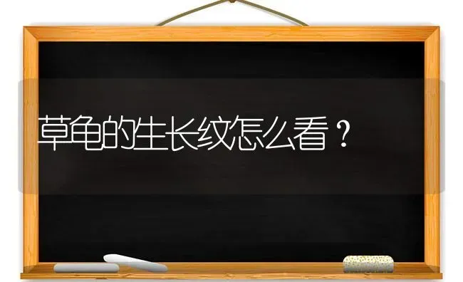 草龟的生长纹怎么看？ | 动物养殖问答