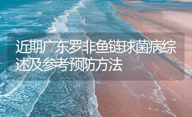 近期广东罗非鱼链球菌病综述及参考预防方法 | 海水养殖技术