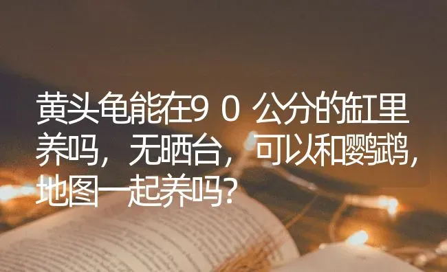 蓝和尚鹦鹉个头会很小吗？ | 动物养殖问答