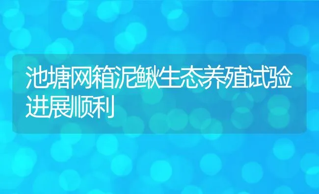 池塘网箱泥鳅生态养殖试验进展顺利 | 动物养殖饲料