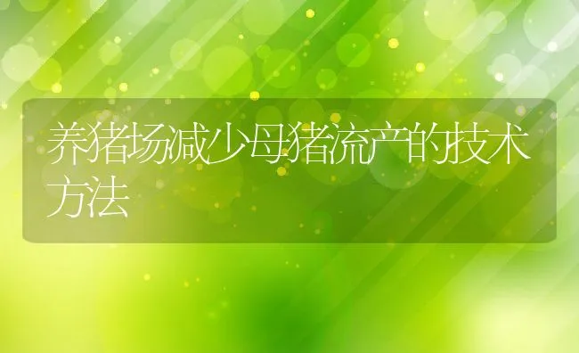 养猪场减少母猪流产的技术方法 | 动物养殖学堂