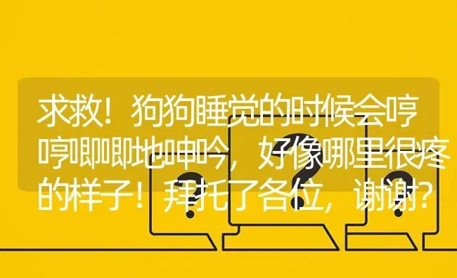 求救！狗狗睡觉的时候会哼哼唧唧地呻吟，好像哪里很疼的样子！拜托了各位，谢谢？ | 动物养殖问答