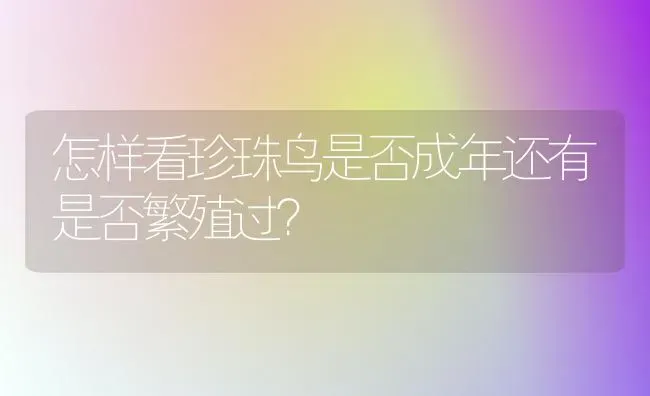 怎样看珍珠鸟是否成年还有是否繁殖过？ | 动物养殖问答