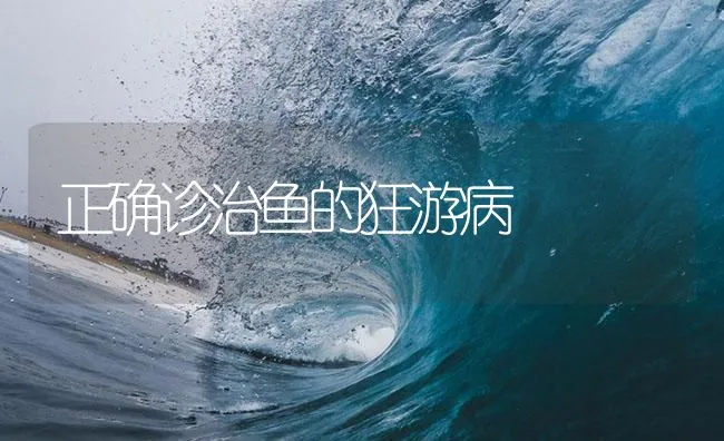 正确诊治鱼的狂游病 | 海水养殖技术