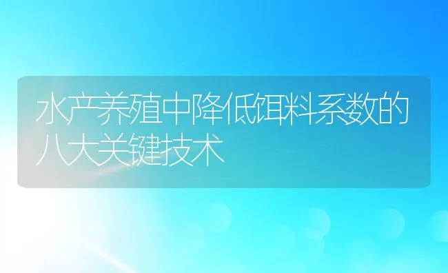 水产养殖中降低饵料系数的八大关键技术 | 动物养殖饲料