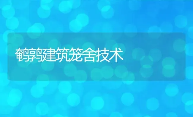 鹌鹑建筑笼舍技术 | 动物养殖教程