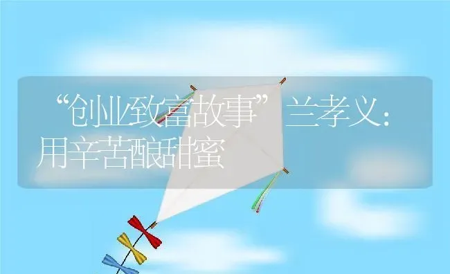 “创业致富故事”兰孝义：用辛苦酿甜蜜 | 动物养殖教程