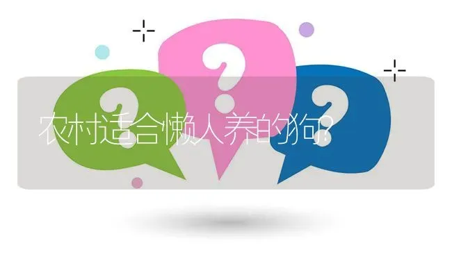 农村适合懒人养的狗？ | 动物养殖问答