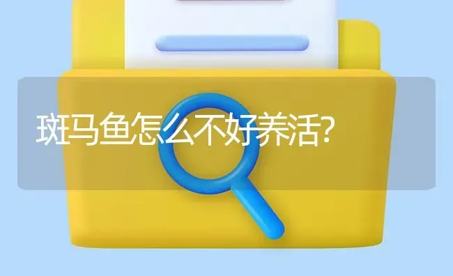 斑马鱼怎么不好养活？ | 鱼类宠物饲养