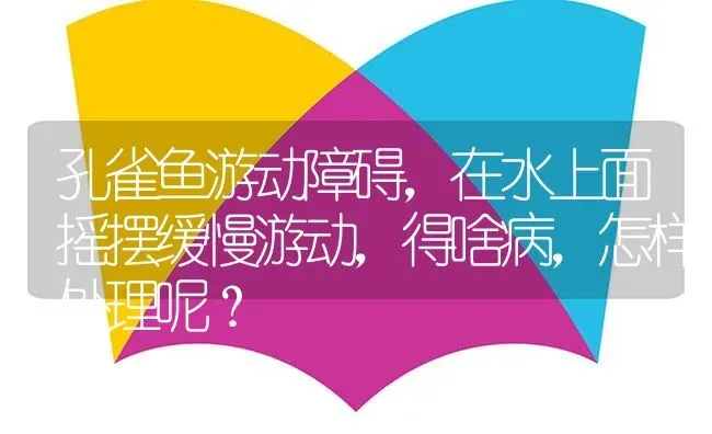 孔雀鱼游动障碍，在水上面摇摆缓慢游动，得啥病，怎样处理呢？ | 鱼类宠物饲养