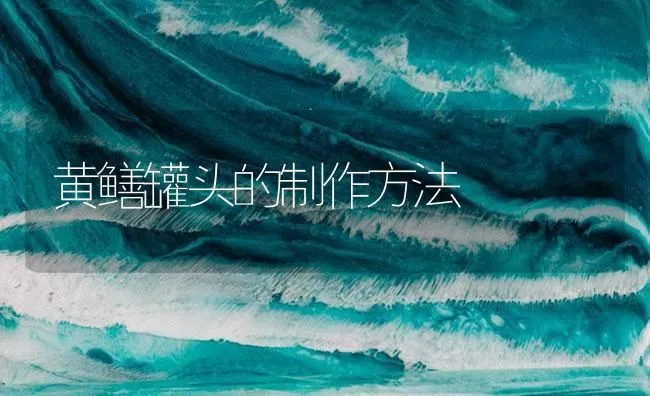 黄鳝罐头的制作方法 | 海水养殖技术