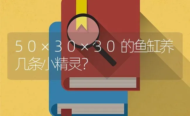 50×30×30的鱼缸养几条小精灵？ | 鱼类宠物饲养