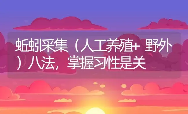 蚯蚓采集（人工养殖+野外）八法，掌握习性是关 | 动物养殖百科