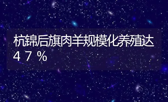 杭锦后旗肉羊规模化养殖达47% | 动物养殖教程