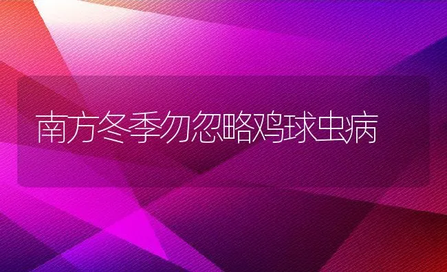 南方冬季勿忽略鸡球虫病 | 动物养殖学堂