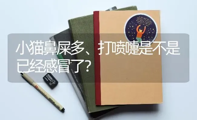 蓝白布偶是哪个国家的？ | 动物养殖问答