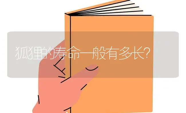 狐狸的寿命一般有多长？ | 动物养殖问答