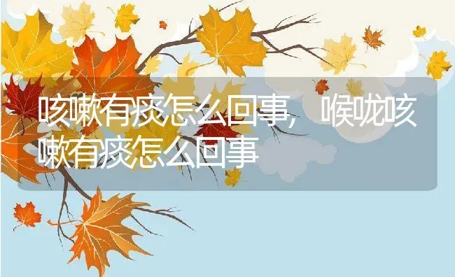 咳嗽有痰怎么回事,喉咙咳嗽有痰怎么回事 | 宠物百科知识