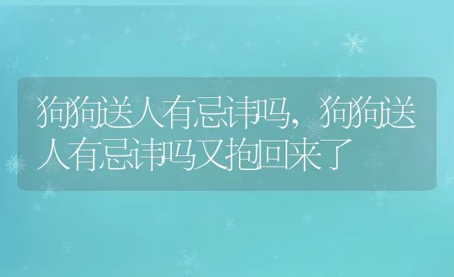 狗狗送人有忌讳吗,狗狗送人有忌讳吗又抱回来了 | 宠物百科知识