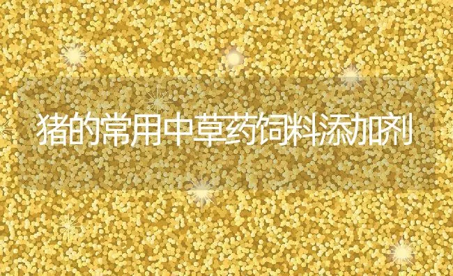 猪的常用中草药饲料添加剂 | 动物养殖学堂