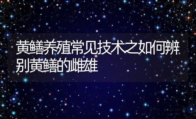 黄鳝养殖常见技术之如何辨别黄鳝的雌雄 | 动物养殖饲料