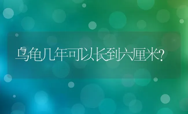 乌龟几年可以长到六厘米？ | 动物养殖问答