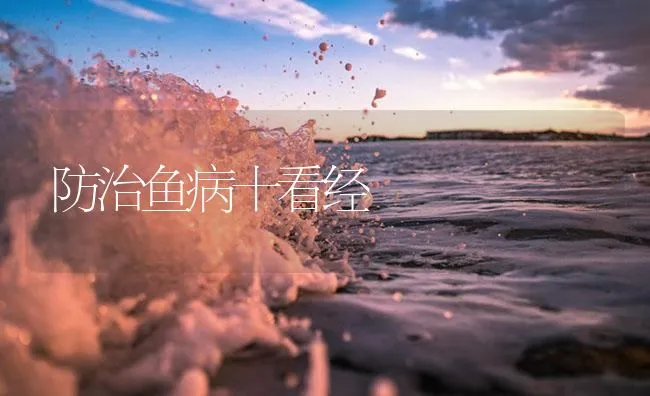 防治鱼病十看经 | 海水养殖技术