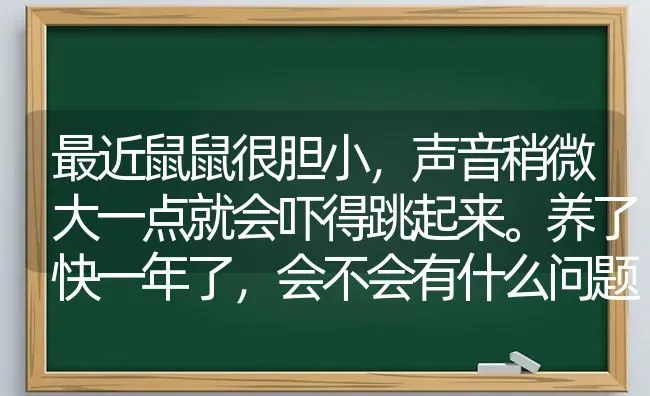 最近鼠鼠很胆小，声音稍微大一点就会吓得跳起来。养了快一年了，会不会有什么问题？ | 动物养殖问答