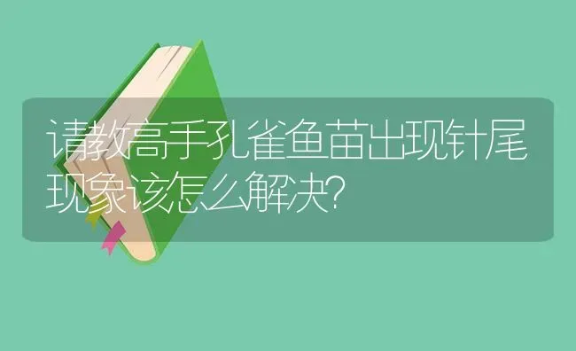 请教高手孔雀鱼苗出现针尾现象该怎么解决？ | 鱼类宠物饲养