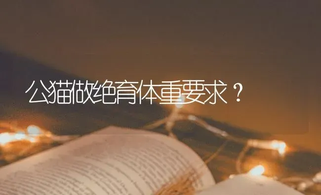 公猫做绝育体重要求？ | 动物养殖问答