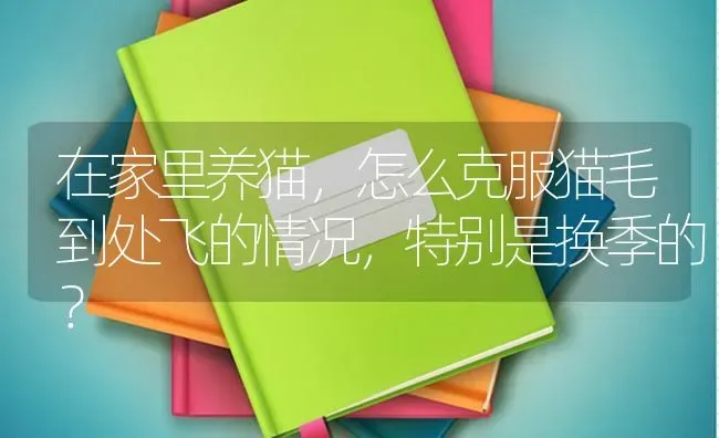 在家里养猫，怎么克服猫毛到处飞的情况，特别是换季的？ | 动物养殖问答