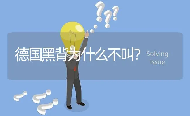 德国黑背为什么不叫？ | 动物养殖问答