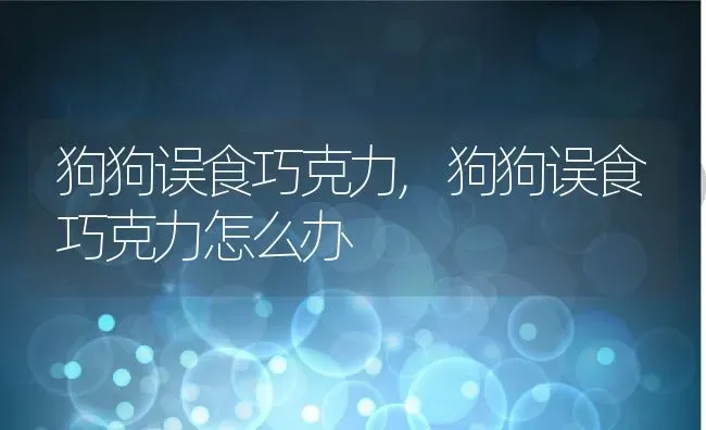 狗狗误食巧克力,狗狗误食巧克力怎么办 | 宠物百科知识