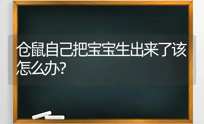 猫频繁呕吐黄水怎么办，猫咪突然吐黄水怎么办？ | 动物养殖问答