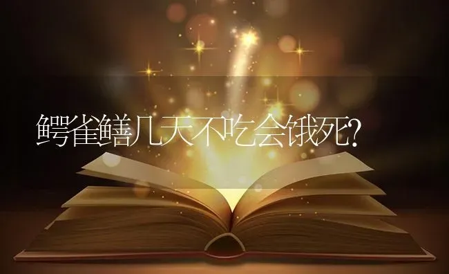 鳄雀鳝几天不吃会饿死？ | 鱼类宠物饲养