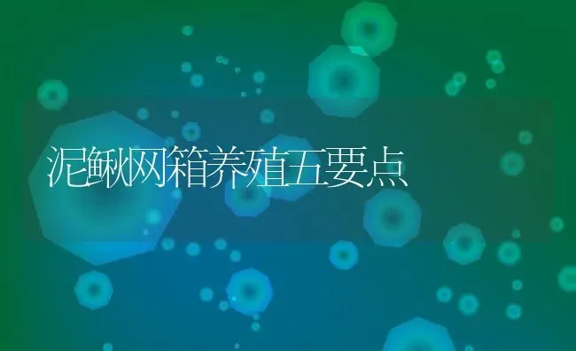 泥鳅网箱养殖五要点 | 动物养殖百科