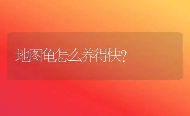 地图龟怎么养得快？ | 动物养殖问答