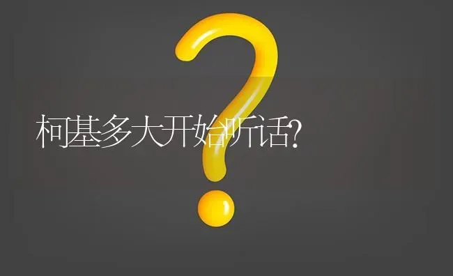 柯基多大开始听话？ | 动物养殖问答