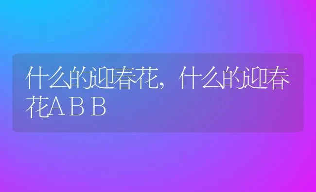 什么的迎春花,什么的迎春花ABB | 宠物百科知识