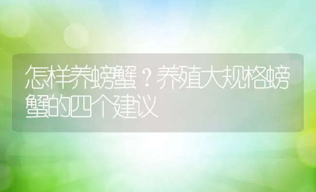 怎样养螃蟹？养殖大规格螃蟹的四个建议 | 动物养殖百科