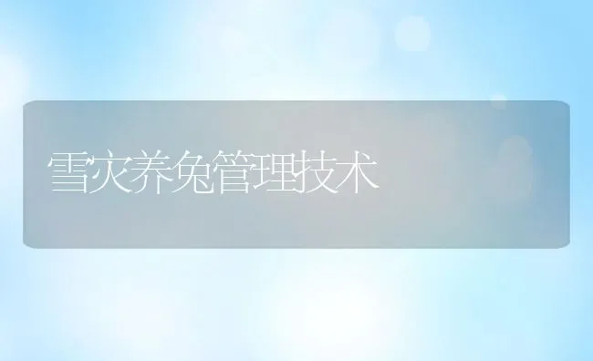 雪灾养兔管理技术 | 动物养殖学堂