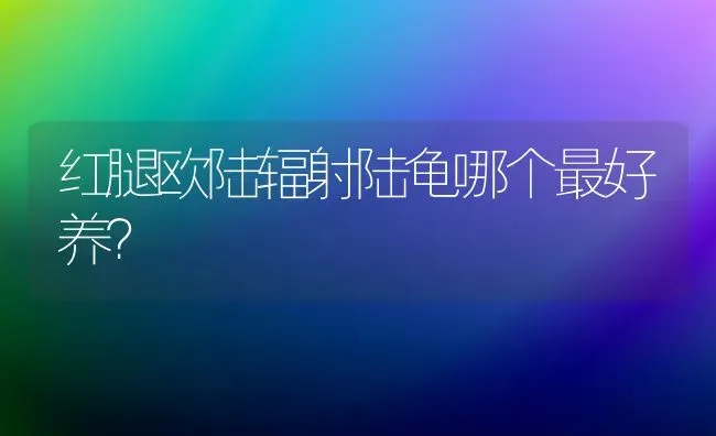 给宠物狗打防疫针和猫三联需要多少钱？ | 动物养殖问答