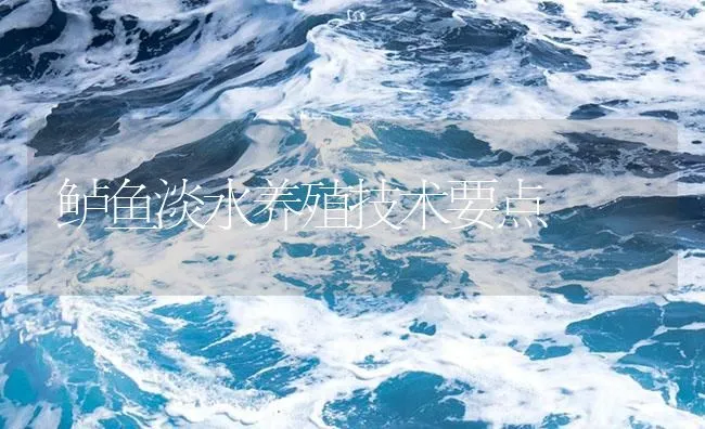 鲈鱼淡水养殖技术要点 | 海水养殖技术