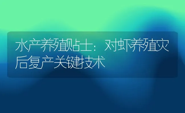 水产养殖贴士：对虾养殖灾后复产关键技术 | 动物养殖饲料